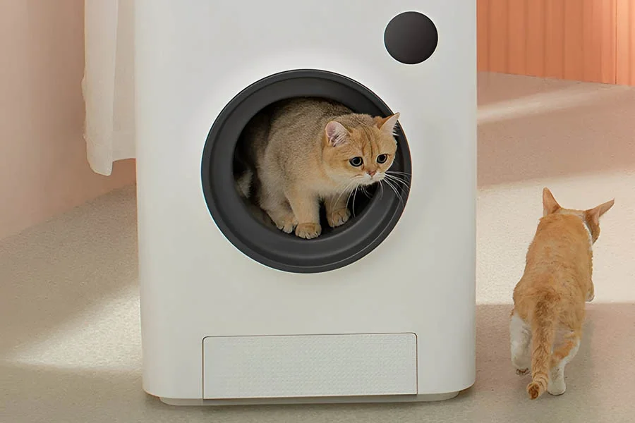 automatic litter