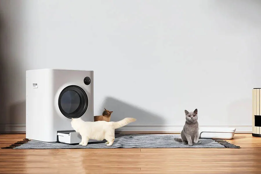 self-cleaning cat litter box
